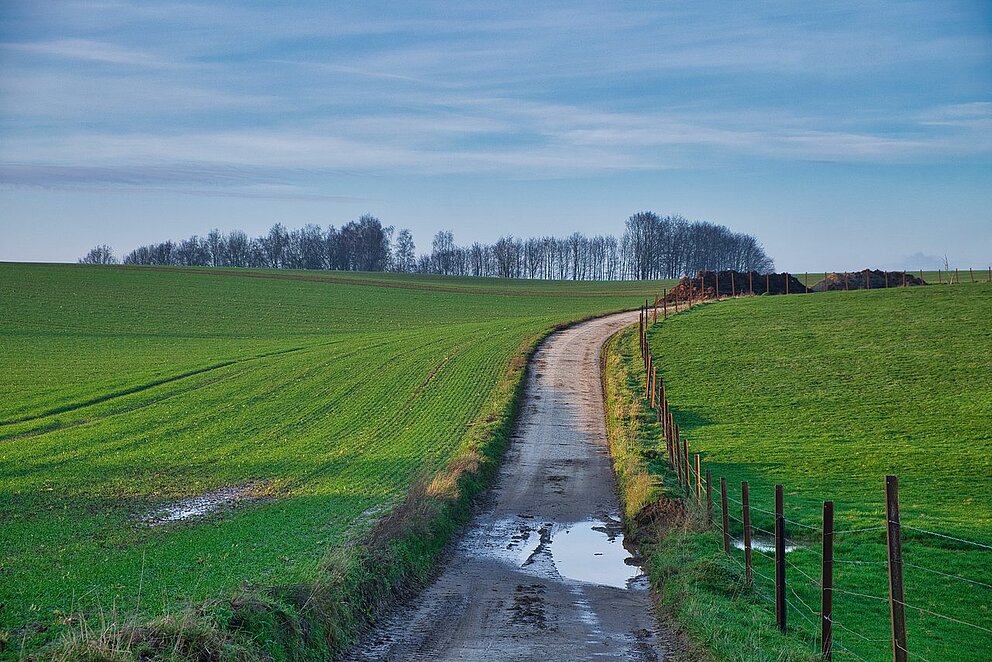 arrêté ministériel - dommages agricoles