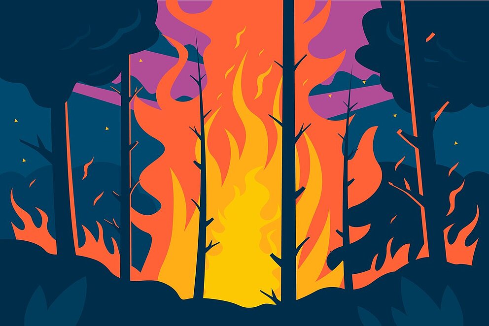 Risque feux de forêt - élevé