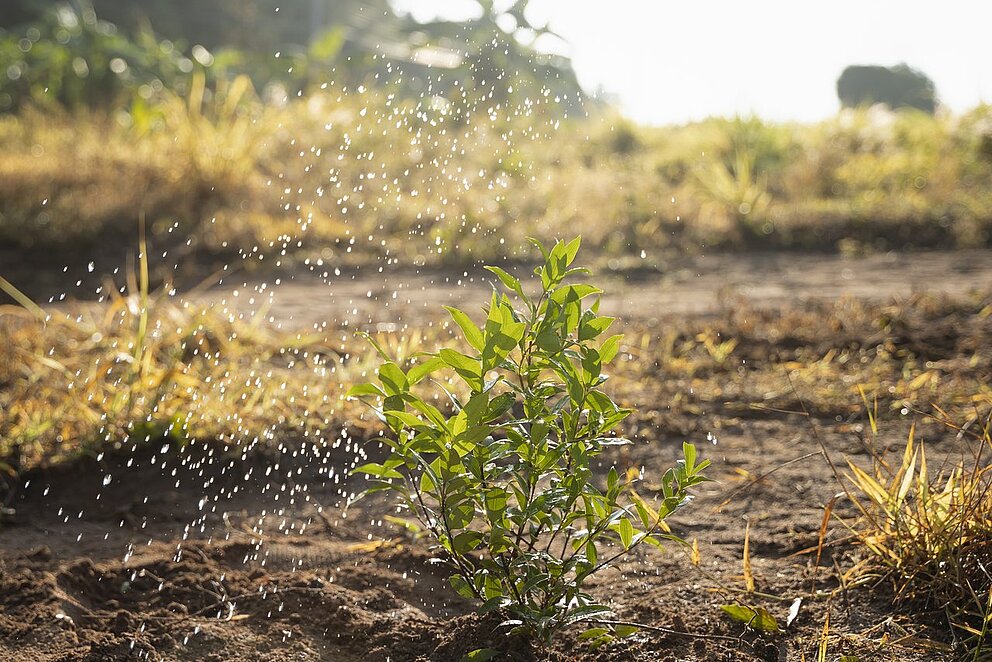 Arrosage des espaces verts du Cellier avec un stock d'eau de pluie
