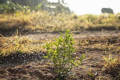 Arrosage des espaces verts du Cellier avec un stock d'eau de pluie