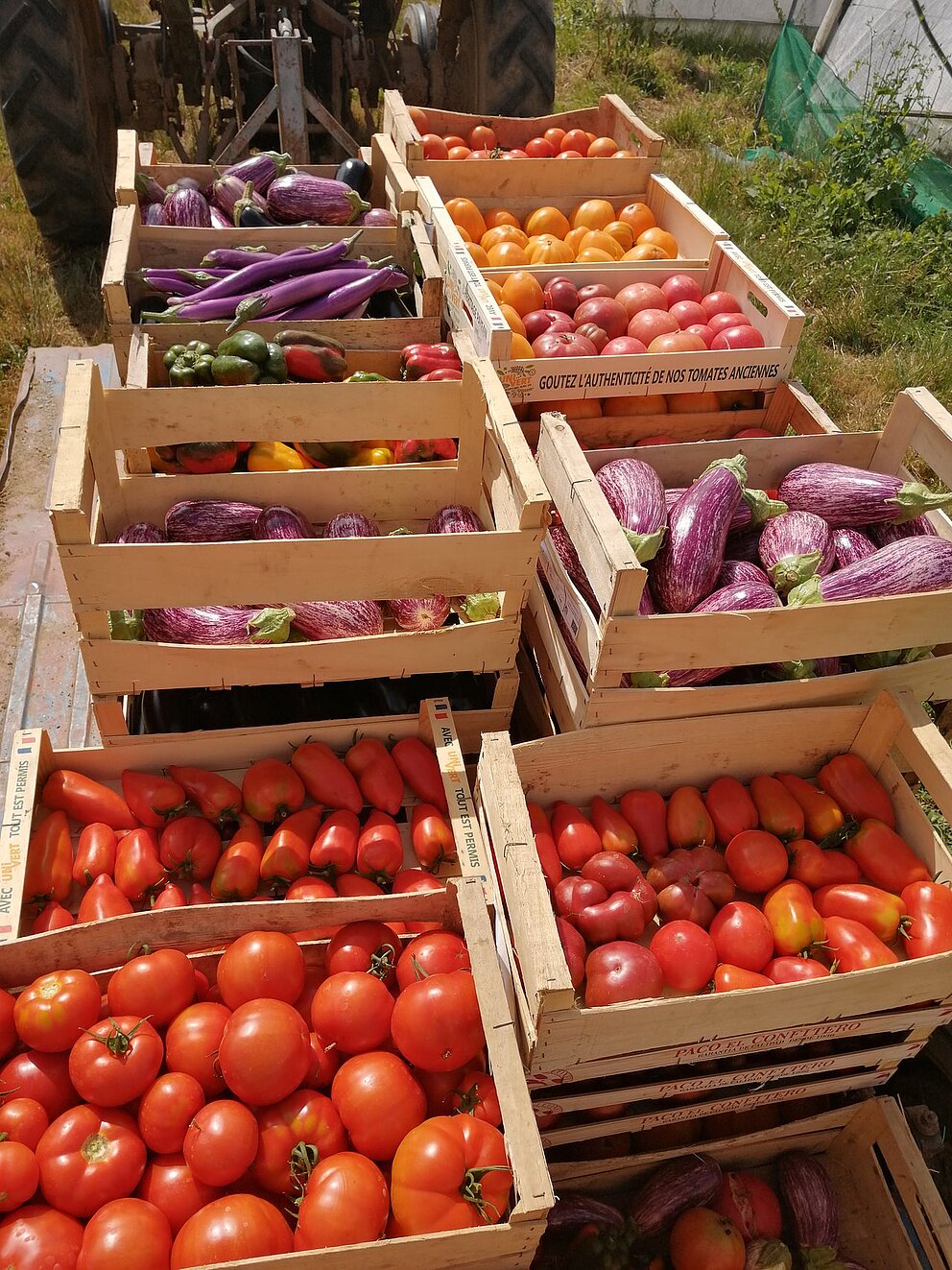 Vente à la ferme Les Rangs d’Oignons