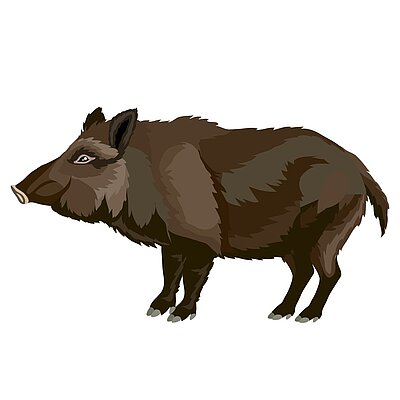 Battue administrative vendredi 14 novembre 2025