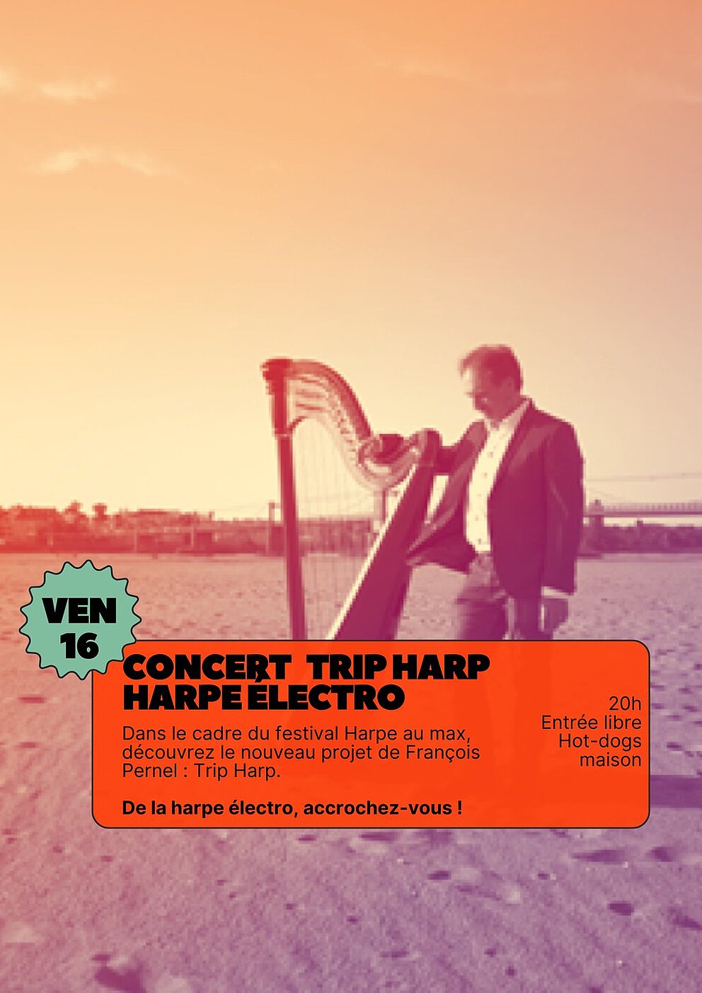 CONCERT Trip Harp - Harpe électro (avec Harpes au max)